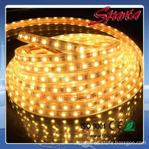 5050 smd 110V/220V rgb led strip waterproof